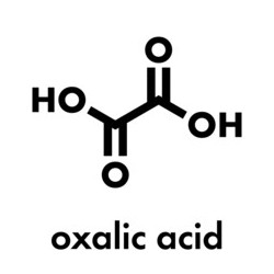Včelařská chemie